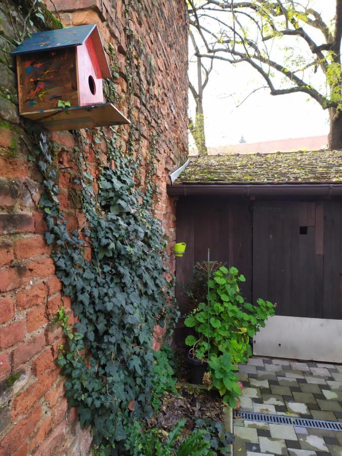 Cozy Uppertown Studio Zagreb Exteriör bild